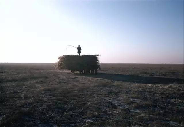 1a35137d20e029098ea5d0a005bcd07f