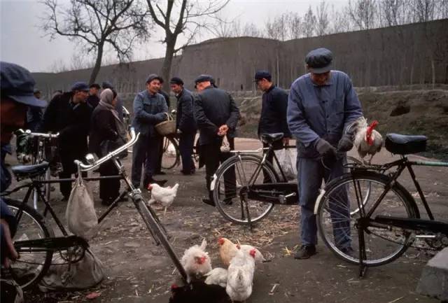 2caa1e840c8a7769c539a878c23d3eb0