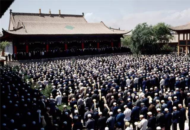 3813e44663f62e690e409b1c93d88aa1