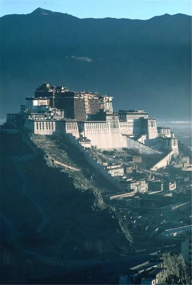 8dc4508a680b985a2a62d551d55fa558