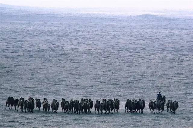 9ad94c80074fecab3e428f1484d989f7