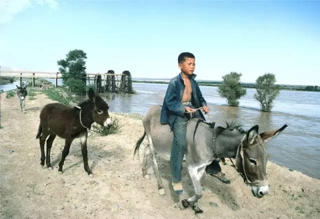 9e7066556f424d75b923936310825813